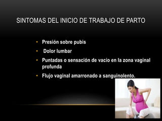 SINTOMAS DEL INICIO DE TRABAJO DE PARTO
• Presión sobre pubis
• Dolor lumbar
• Puntadas o sensación de vacío en la zona vaginal
profunda
• Flujo vaginal amarronado a sanguinolento.
 