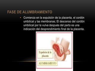 FASE DE ALUMBRAMIENTO
• Comienza en la expulsión de la placenta, el cordón
umbilical y las membranas; El descenso del cordón
umbilical por la vulva después del parto es una
indicación del desprendimiento final de la placenta.
 