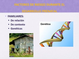 FACTORES DE RIESGO DURANTE EL
DESARROLLO PRENATAL
• FAMILIARES:
• De relación
• De contexto
• Genéticas
 