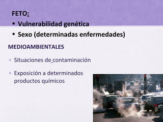 MEDIOAMBIENTALES
• Situaciones de contaminación
• Exposición a determinados
productos químicos
FETO:
• Vulnerabilidad genética
• Sexo (determinadas enfermedades)
 