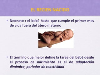 EL RECIEN NACIDO
• Neonato : el bebé hasta que cumple el primer mes
de vida fuera del útero materno
• El término que mejor define la tarea del bebé desde
el proceso de nacimiento es el de adaptación
dinámica, períodos de reactividad
 