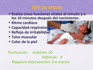 TEST DE APGAR
• Evalúa cinco funciones vitales al minuto y a
los 10 minutos después del nacimiento:
• Ritmo cardíaco
• Capacidad respiratoria
• Reflejo de irritabilidad
• Tono muscular
• Color de la piel
Puntuación máxima: 10
Habitual: 8
Requiere intervención: 4 o menos
 