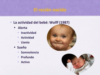 El recién nacido
• La actividad del bebé: Wolff (1987)
• Alerta
• Inactividad
• Actividad
• Llanto
• Sueño
• Somnolencia
• Profundo
• Activo
 