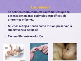 Los reflejos
• Se definen como conductas automáticas que se
desencadenan ante estímulos específicos, de
diferentes orígenes.
• Muchos reflejos tienen como misión preservar la
supervivencia del bebé
• Tienen diferente evolución.
 