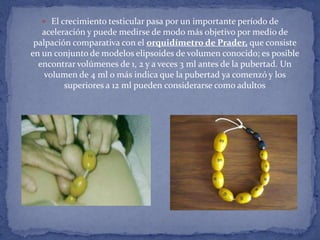  El crecimiento testicular pasa por un importante período de
   aceleración y puede medirse de modo más objetivo por medio de
 palpación comparativa con el orquidímetro de Prader, que consiste
en un conjunto de modelos elipsoides de volumen conocido; es posible
  encontrar volúmenes de 1, 2 y a veces 3 ml antes de la pubertad. Un
    volumen de 4 ml o más indica que la pubertad ya comenzó y los
         superiores a 12 ml pueden considerarse como adultos
 