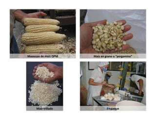Alianza Clayuca/CIAT – Empresa privadaDesarrollo de productos alimenticios a partir de materias primas biofortificadas