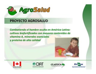 Alianza Clayuca/CIAT – Empresa privadaDesarrollo de productos alimenticios a partir de materias primas biofortificadas