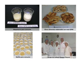 Alianza Clayuca/CIAT – Empresa privadaDesarrollo de productos alimenticios a partir de materias primas biofortificadas