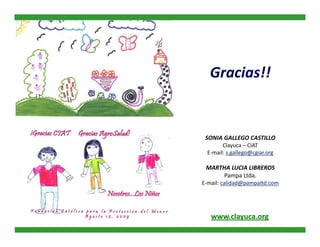 Alianza Clayuca/CIAT – Empresa privadaDesarrollo de productos alimenticios a partir de materias primas biofortificadas