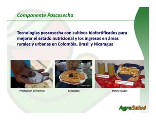 Alianza Clayuca/CIAT – Empresa privadaDesarrollo de productos alimenticios a partir de materias primas biofortificadas