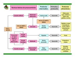 Alianza Clayuca/CIAT – Empresa privadaDesarrollo de productos alimenticios a partir de materias primas biofortificadas