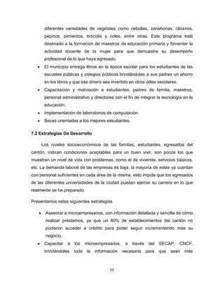 Desarrollo Profesional ensayo