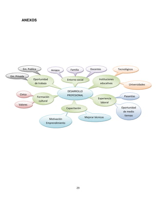 Desarrollo Profesional ensayo