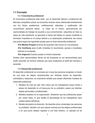 Desarrollo Profesional ensayo