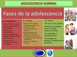 Fases de la adolescencia
a) A. Temprana
• De los 10 a los 13 años
• Inician cambios físicos y
emocionales.
• Interés por la
independencia
• Interés por grupo de
amigos del mismo sexo.
• Interés sexual
• Se ajustan a la
escolarización de la
secundaria
b) A. Media
•De los 14 a los 16 años.
•Se observan cambios del
desarrollo sexual.
•Primeras experiencias
sexuales.
•Preocupación por ser
atractivos físicamente.
•Va ganando su autonomía
•Los amigos pierden un poco su
importancia.
•Reconoce y exhibe sus
destrezas.
c) A. Tardía
* De los 17 a los 19 años
*Finalizan los cambios
físicos y se logra
madurez personal.
* Se consolida su
identidad sexual.
*Autoimagen se
estabiliza, independencia
emocional
 