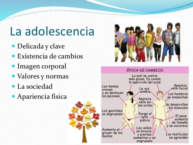 Desarrollo psicológico en la adolescencia y adultez