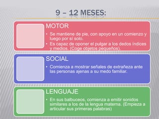 9 – 12 MESES:
MOTOR
• Se mantiene de pie, con apoyo en un comienzo y
  luego por sí solo.
• Es capaz de oponer el pulgar a los dedos índices
  y medios. (Coge objetos pequeños).

SOCIAL
• Comienza a mostrar señales de extrañeza ante
  las personas ajenas a su medo familiar.



LENGUAJE
• En sus balbuceos, comienza a emitir sonidos
  similares a los de la lengua materna. (Empieza a
  articular sus primeras palabras)
 