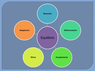 Reacción

Adaptación

Diferenciación

Equilibrio

Ritmo

Acoplamiento

 