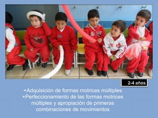 +Adquisición de formas motrices múltiples
+Perfeccionamiento de las formas motrices
múltiples y apropiación de primeras
combinaciones de movimientos

 