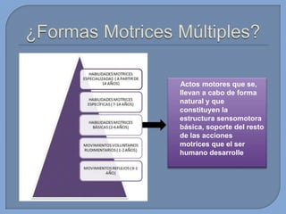 Actos motores que se,
llevan a cabo de forma
natural y que
constituyen la
estructura sensomotora
básica, soporte del resto
de las acciones
motrices que el ser
humano desarrolle

 