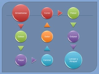 Arrastrarse

Correr

Patear

Gatear

Saltar

Golpear

Trepar

Caminar

Lanzar y
Atrapar

 