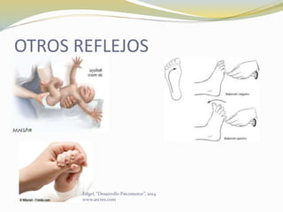 OTROS REFLEJOS
Edgel, “Desarrollo Psicomotor”, 2014.
www.arcres.com
 