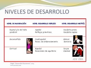 NIVELES DE DESARROLLO
Edgel, “Desarrollo Psicomotor”, 2014.
www.arcres.com
 
