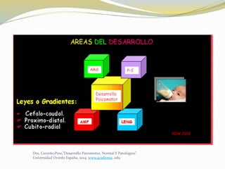 Dra. Carreño,Pino,”Desarrollo Psicomotor, Normal Y Patológico”.
Universidad Oviedo España, 2014. www.academia. edu
 