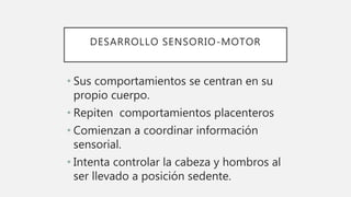 DESARROLLO SENSORIO-MOTOR
• Sus comportamientos se centran en su
propio cuerpo.
• Repiten comportamientos placenteros
• Comienzan a coordinar información
sensorial.
• Intenta controlar la cabeza y hombros al
ser llevado a posición sedente.
 