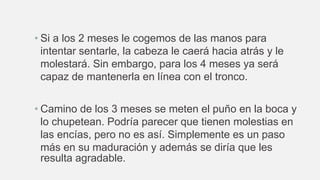 • Si a los 2 meses le cogemos de las manos para
intentar sentarle, la cabeza le caerá hacia atrás y le
molestará. Sin embargo, para los 4 meses ya será
capaz de mantenerla en línea con el tronco.
• Camino de los 3 meses se meten el puño en la boca y
lo chupetean. Podría parecer que tienen molestias en
las encías, pero no es así. Simplemente es un paso
más en su maduración y además se diría que les
resulta agradable.
 