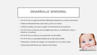 DESARROLLO SENSORIAL
• • En el 4º mes es capas de enfocar diferentes distancias, su visión es binocular
• • Observa detenidamente como abre y cierra sus manos
• • Voltea la cabeza y los ojos al seguir el movimiento de una persona
• • En el 5º mes se interesa por los objetos que hay en su habitación y fija su
mirada en la ventana
• • En el 6º mes su visión es muy parecida a la del adulto
• • En el 4º mes su capacidad auditiva ya ha sido desarrollada
• • Reacciona a sonidos de alegría y se tranquiliza con la música suave
• • Desarrolla preferencias por sabores más fuertes
 