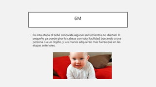 6M
• En esta etapa el bebé conquista algunos movimientos de libertad. El
pequeño ya puede girar la cabeza con total facilidad buscando a una
persona o a un objeto, y sus manos adquieren más fuerza que en las
etapas anteriores.
 