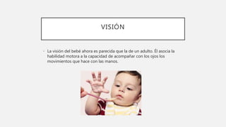VISIÓN
• La visión del bebé ahora es parecida que la de un adulto. Él asocia la
habilidad motora a la capacidad de acompañar con los ojos los
movimientos que hace con las manos.
 