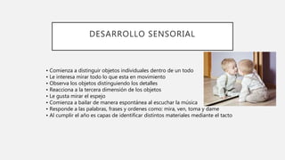 DESARROLLO SENSORIAL
• Comienza a distinguir objetos individuales dentro de un todo
• Le interesa mirar todo lo que esta en movimiento
• Observa los objetos distinguiendo los detalles
• Reacciona a la tercera dimensión de los objetos
• Le gusta mirar el espejo
• Comienza a bailar de manera espontánea al escuchar la música
• Responde a las palabras, frases y ordenes como: mira, ven, toma y dame
• Al cumplir el año es capas de identificar distintos materiales mediante el tacto
 