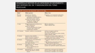DESARROLLO MOTOR: ES LA CAPACIDAD DE MOVIMIENTO
QUE DEPENDE DEL SN Y MADURACIÓN DEL TONO
MUSCULAR.
 