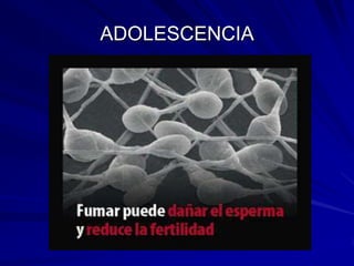 ADOLESCENCIA
 