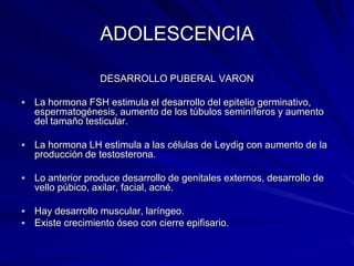ADOLESCENCIA

                   DESARROLLO PUBERAL VARON

   La hormona FSH estimula el desarrollo del epitelio germinativo,
    espermatogénesis, aumento de los túbulos seminíferos y aumento
    del tamaño testicular.

   La hormona LH estimula a las células de Leydig con aumento de la
    producción de testosterona.

   Lo anterior produce desarrollo de genitales externos, desarrollo de
    vello púbico, axilar, facial, acné.

   Hay desarrollo muscular, laríngeo.
   Existe crecimiento óseo con cierre epifisario.
 