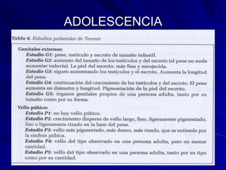 ADOLESCENCIA
 