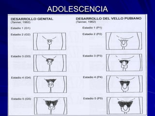 ADOLESCENCIA
 