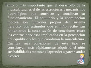 Tanto o más importante que el desarrollo de la
musculatura, es el de las estructuras y mecanismos
neurológicos que controlan y coordinan su
funcionamiento. El equilibrio y la coordinación
motora son funciones propias del sistema
nervioso. Los estímulos que el niño recibe van
fomentando la constitución de conexiones entre
los centros nerviosos implicados en la percepción
del equilibrio y los que coordinan la musculatura.
Cuantas más conexiones de este tipo se
constituyen, más rápidamente adquirirá el niño
sus habilidades motoras al aprender a gatear, andar
o correr.

 