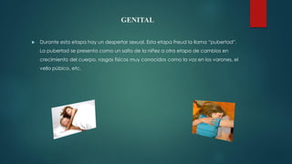 GENITAL
 Durante esta etapa hay un despertar sexual. Esta etapa Freud la llama “pubertad”.
La pubertad se presenta como un salto de la niñez a otra etapa de cambios en
crecimiento del cuerpo, rasgos físicos muy conocidos como la voz en los varones, el
vello púbico, etc.
 