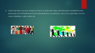  Cada fase tiene una zona erógena es decir, la parte del cuerpo que tiene gran sensibilidad al ser
estimulado con la finalidad de activar sexualmente a una persona, como son los genitales, la boca,
cuero cabelludo, cuello, axilas, etc.
 