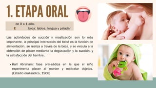 Edad: de 0 a 1 año.
Zona erógena: boca: labios, lengua y paladar
Las actividades de succión y masticación son lo más
importante, la principal interacción del bebé es la función de
alimentación, se realiza a través de la boca, y se vincula a la
obtención de placer mediante la degustación y la succión, y
la satisfacción del hambre.
Karl Abraham: fase oral-sádica en la que el niño
experimenta placer al morder y maltratar objetos.
(Estadio oral-sádico, 1908)
1. ETAPA ORAL
 