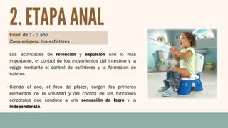 Edad: de 1 - 3 año.
Zona erógena: los esfínteres
Las actividades de retención y expulsión son lo más
importante, el control de los movimientos del intestino y la
vejiga mediante el control de esfínteres y la formación de
hábitos.
Siendo el ano, el foco de placer, surgen los primeros
elementos de la voluntad y del control de las funciones
corporales que conduce a una sensación de logro y la
independencia.
2. ETAPA ANAL
 