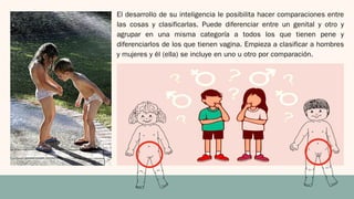 El desarrollo de su inteligencia le posibilita hacer comparaciones entre
las cosas y clasificarlas. Puede diferenciar entre un genital y otro y
agrupar en una misma categoría a todos los que tienen pene y
diferenciarlos de los que tienen vagina. Empieza a clasificar a hombres
y mujeres y él (ella) se incluye en uno u otro por comparación.
 