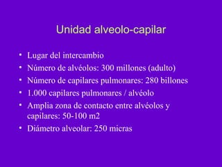 Unidad alveolo-capilar

• Lugar del intercambio
• Número de alvéolos: 300 millones (adulto)
• Número de capilares pulmonares: 280 billones
• 1.000 capilares pulmonares / alvéolo
• Amplia zona de contacto entre alvéolos y
  capilares: 50-100 m2
• Diámetro alveolar: 250 micras
 