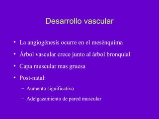 Desarrollo vascular

• La angiogénesis ocurre en el mesénquima
• Árbol vascular crece junto al árbol bronquial
• Capa muscular mas gruesa
• Post-natal:
   – Aumento significativo
   – Adelgazamiento de pared muscular
 