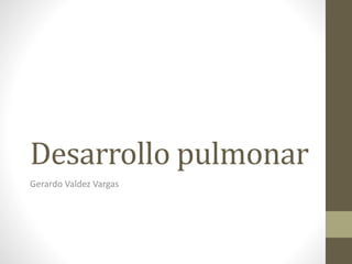 Desarrollo pulmonar 
Gerardo Valdez Vargas 
 