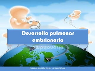 Desarrollo pulmonar embrionario CLAUDIA MAGAÑA ORIAS - KINESIOLOGÍA 