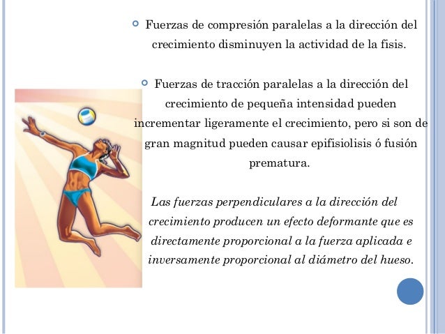 Desarrollo óseo